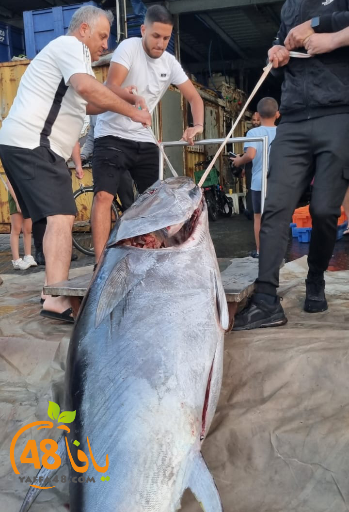 WhatsApp Image 2023-05-263 at 20.19.23.jpg